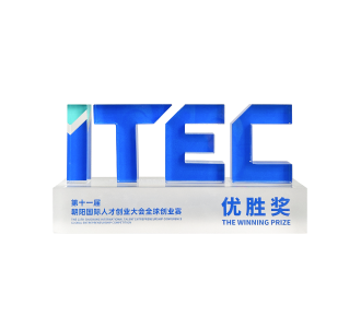 第十一届朝阳国际人才创业大会全球创业赛优胜奖